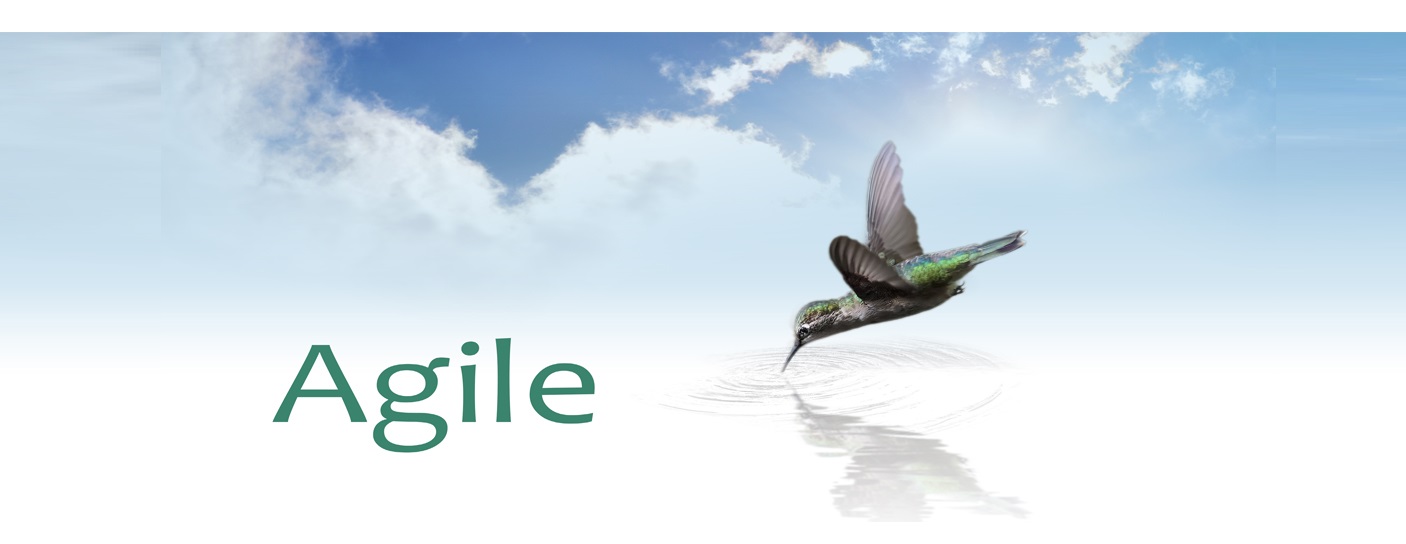 Agile Development Team